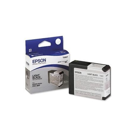 Epson T580 Light Black (80 ml)