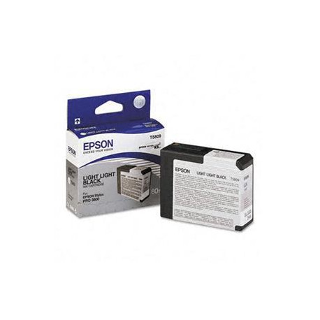 Epson T580 Light Light Black (80 ml)